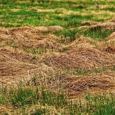 Agroproeftuin de Peel