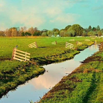Veenoxidatie met lutum te lijf