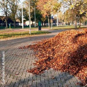 Pilot blad-bokashi Arnhem