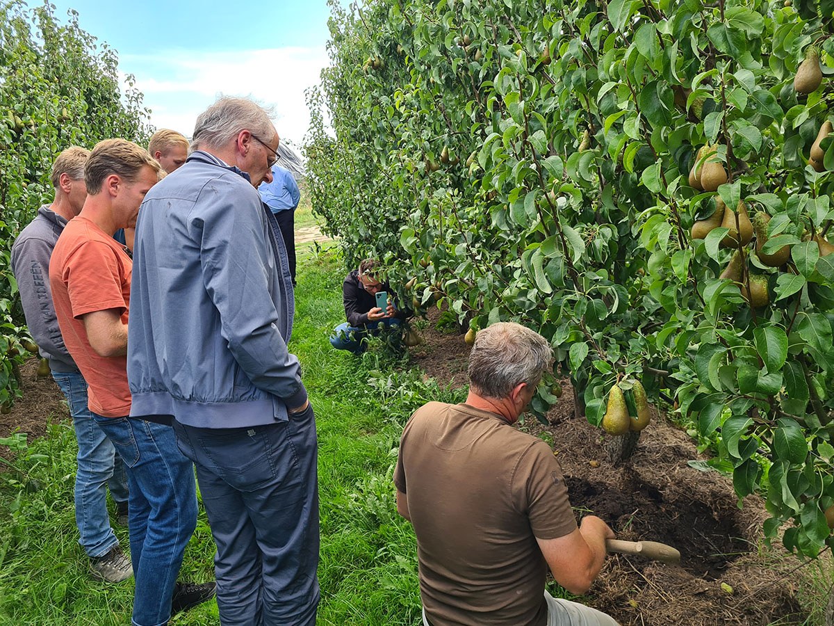 Terugblik op bezoek aan de Hoeksche Waard